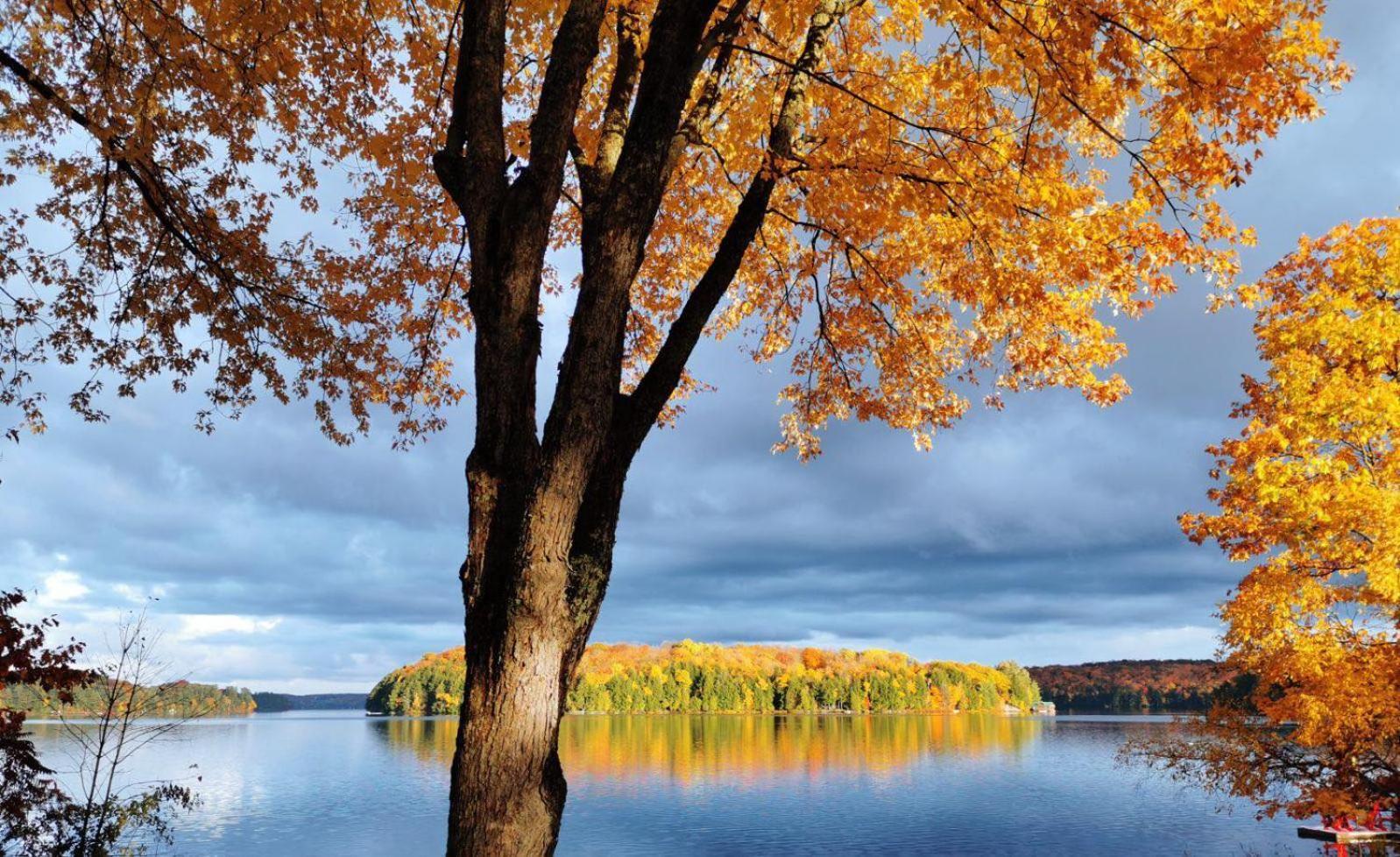 Muskoka Escape Hotel Port Carling Bagian luar foto