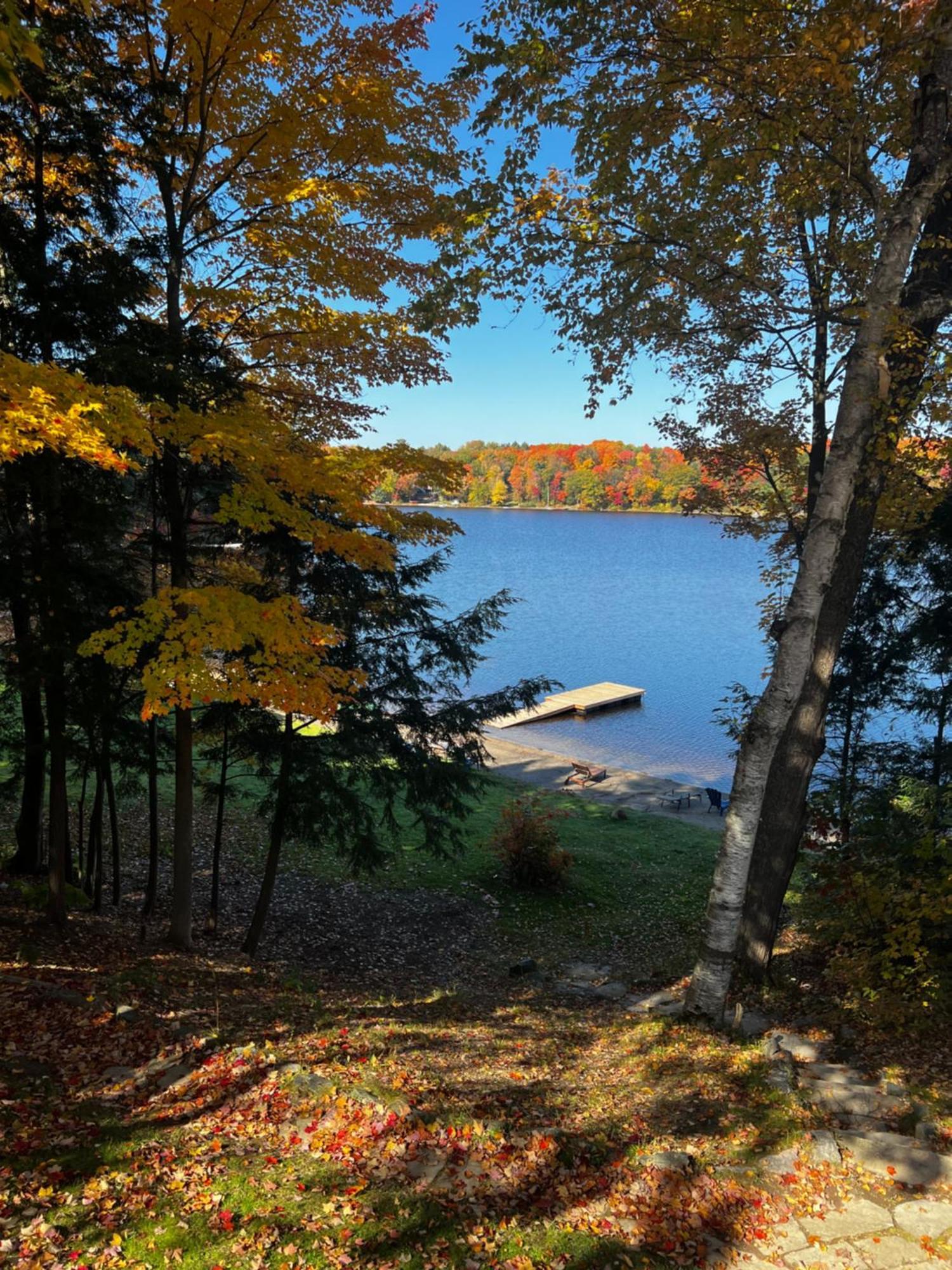 Muskoka Escape Hotel Port Carling Bagian luar foto